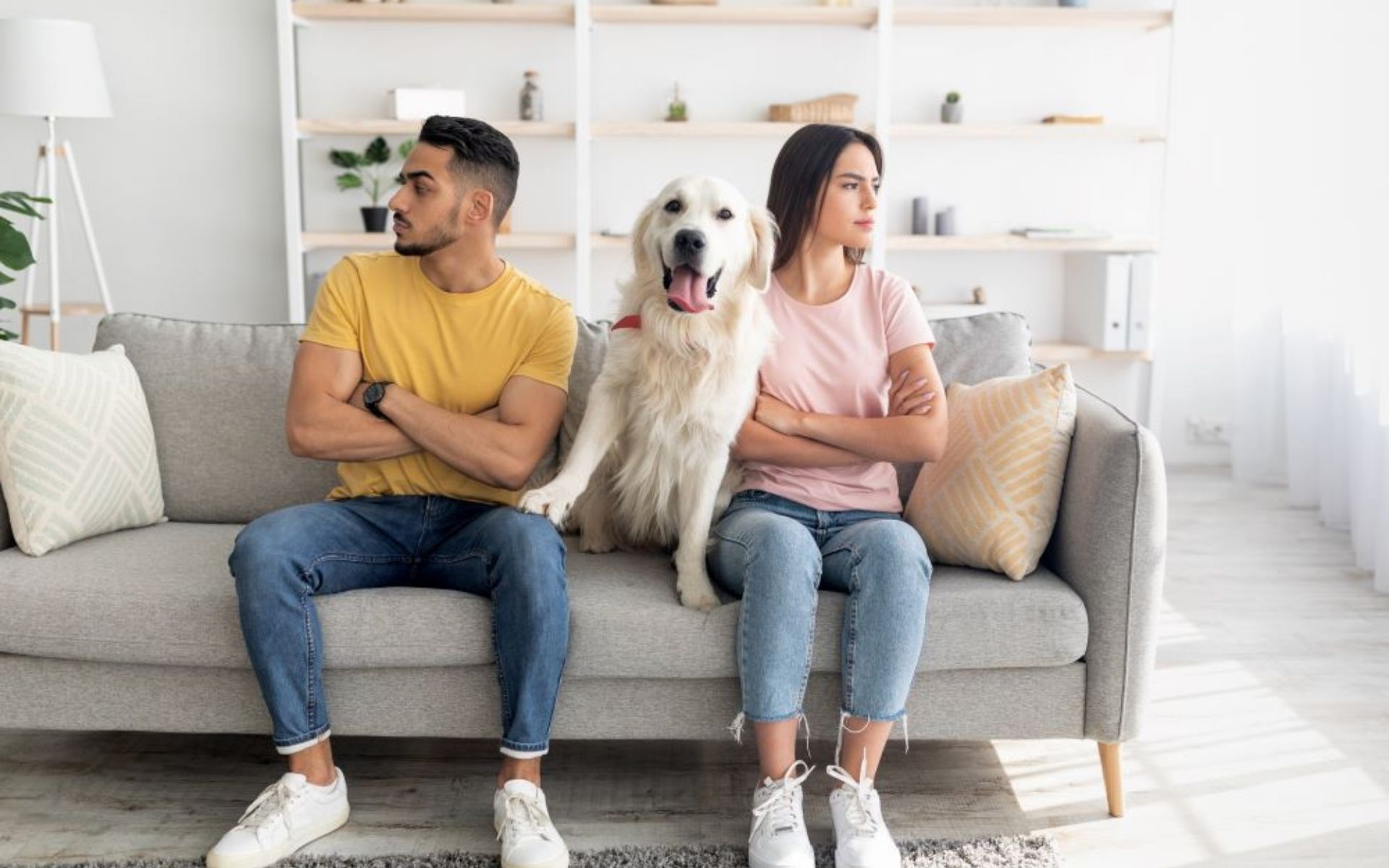 Fur Better or Worse Who Gets the Pet in a Virginia Divorce