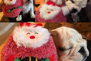 2015-12-31-Dunkin-Christmas