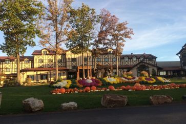 22688618_1647609188637801_334930316253207772_n